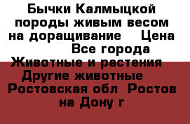 Бычки Калмыцкой породы живым весом на доращивание. › Цена ­ 135 - Все города Животные и растения » Другие животные   . Ростовская обл.,Ростов-на-Дону г.